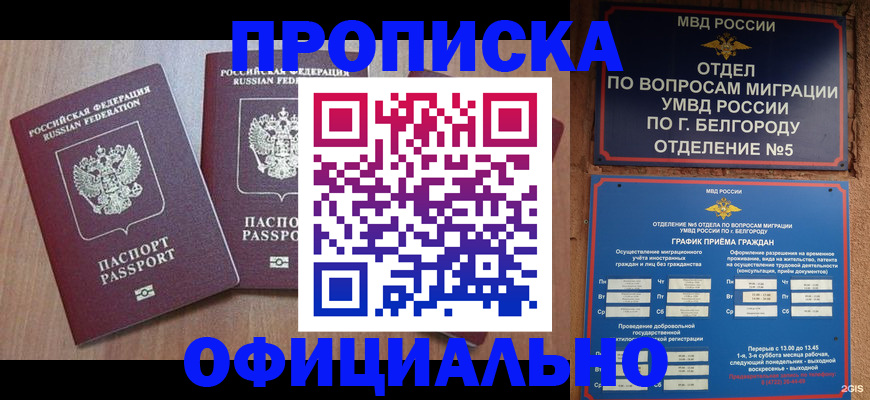 найти адрес прописки в Пущино